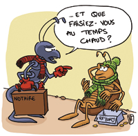La Cigale Et La Fourmi Notariat 00